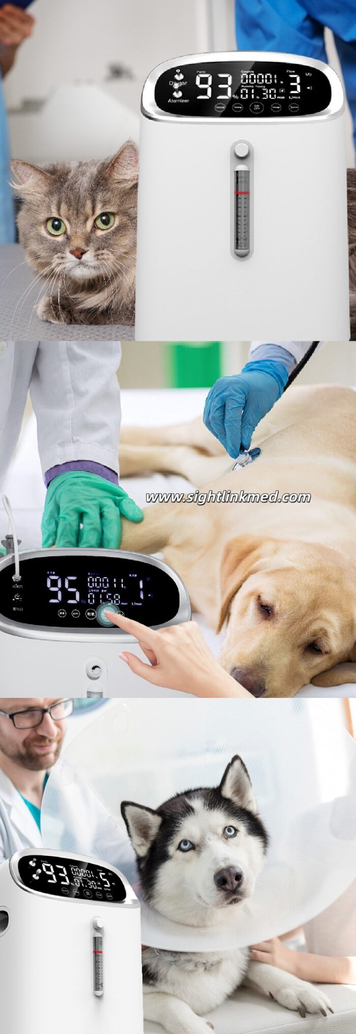 Dags Instrument 5L Healthcare Instrument Medical Machine Pet Vet Pet Veterinary Oxygen ...