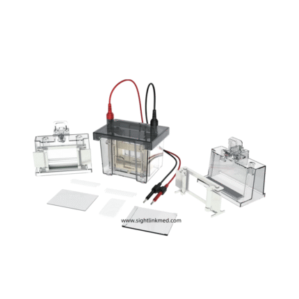DL-Mini01 Vertical electrophoresis tank (double plate) for Lab Hospital Use