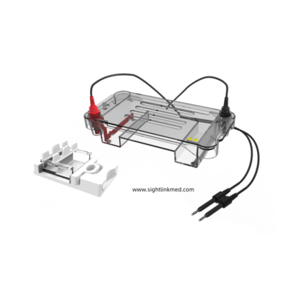 High Quality ABS Material Clinical Analysis Level Horizontal Gel Electrophoresis Tank