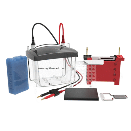 Gel Electrophoresis Apparatus Transfer Protein Electrophoresis Tank Horizontal Hb Dna Sequence Analysis Electrophoresis